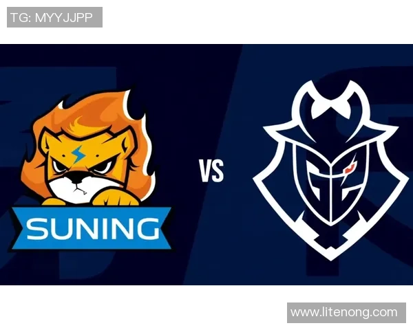 Bin上单领衔赛场崛起探索其独特打法与团队协作的重要性